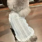Summer Clothes for Cat Dog Vest Mesh Dog Clothes for Small Dog Sleeveless Summer Cat Clothes Cooling PuppyPet Chihuahua Teddy