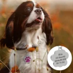 Personalized Pet Dog Cat Address Tags Engraved Cat Puppy Dog Accessories Engraved Stainless Steel Name Number Tag For Dogs Cats - Image 6