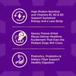 CORE+ Adult Dry Dog Food with Freeze Dried Pieces, Grain Free Kibble+, Natural, High Protein, Chicken Free, Whitefish, Herring, - Image 2