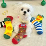 Novel Sock Style Plush Dog Toy Soft Fuzzy Interactive Play Doll Cute Eye Design Safe Bite Toy for Puppies Daily Entertainment