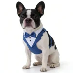 Dog Tuxedo for Wedding Outfit, Dog Suit and Tie Costumes for Birthday, Cosplay, Christmas Party, Pet Formal Wear with Bowtie - Image 2