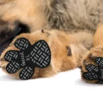Heavy-Duty Dog Paw Grips - 4 Pack with Strong Adhesive for Slippery Surfaces Sturdy Dog Foot Pads - 4 Pack with Robust Adhesive - Image 2