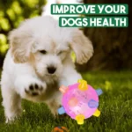 Interactive Dog Rolling Ball Toy Jumping Bouncing Ball with Lights Music Moving Dancing Pet Toy for Puppy Dogs Entertainmen - Image 3