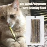 5pc Catnip Stick Pet Cat Molar All Natural Self-healing Wooden Toys Suppli Cleaning Relieve Polygonum Snacks Chews Boredom Z0A6