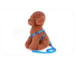 Small Dog Leash Puppy Leashes Teddy Pet Leash and Harness Set Cute Lead Rope Set Cat Kitten Leash Pet Things Decoration - Image 7