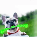 Pet Dog Training Interactive Toy Pet Funny Molar Stick Strong Rubber Durable Teeth Clean Toy Long Size Chew Toy For Meduim Large - Image 5