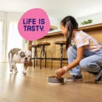 Mini Bits Small Breed Dry Dog Food, Savory Bacon and Steak Flavor for Adult Dogs, 3.5 lb. Bag - Image 6