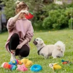 A 7-piece set of puppy sound toys, loose plush pet chewing, plush fruit snacks and vegetable puppy toys, suitable for pet play - Image 4