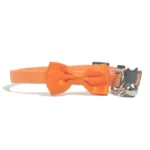 Pet Collars New Pet Bow Bell Collars Cute Cat Collars Pet Supplies Multicolor Adjustable Pet Dressing Tool Pet Accessories - Image 5