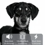 3300FT Electric Dog Training Collar Remote Control Waterproof Pet BehaviorFor 6-120lbs Puppy With Shock Vibration Anti-barking - Image 4