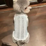 1PC Summer Pet Vest, Small Pet Clothing, Teddy Bear, Pomeranian Dog, Fairy Dress, Pet Cat, Dog - Image 3