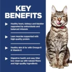 Adult 7+ Indoor Dry Cat Food, Chicken, 7 lb. Bag - Image 4