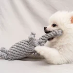 1pc rope knot grinding teeth resistant hand-woven animal cotton rope small and medium-sized dog pet dog toys - Image 2