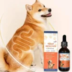 6ml Pet Yeast Infection Drops for Dogs & Cats Natural Herbal Supplement Support Gut Health & Immune System Easy to Administer - Image 4
