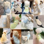 Summer Dog Clothes Bear Print Dog Vest Chihuahua French Bulldog Thin Breathable Shirt Sun Protection Puppy Outfit Pet Costume - Image 2