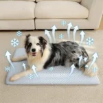 Summer Ice Silk Thick Breathable Dog Bed Cooling sponge Mat cat bed Non Slip Washable Pet Pad for Medium Large Cats Dogs