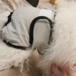 Reusable Sanitary Panties Washable Small Dog Pet Diapers Female Dogs Large Physiological Pants Shorts Male Cats Pet Menstruation - Image 3