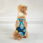 Unisex Pet Physiological Pants Underwear Girl Dog Diaper Strap Briefs Female Sanitary Panties Shorts for Dogs mascotas Supplies - Image 3