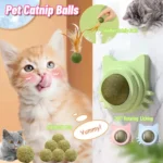 Natural Catnip Cat Wall Stick-on Ball Toy Scratchers Treats Healthy Natural Removes Balls to Promote Digestion Cat Grass Snack ﻿