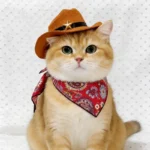 Pet Cowboy Hat with Bandana Western Style Star Decor for Cats Dogs Small Large Sizes Party Cosplay Costume - Image 6