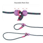 Lightweight Dog Training Leash Durable Slip Leads for Dogs Classic Dog Rope Slip Lead Dog Leash for Small Medium Dogs & Puppies - Image 3