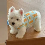 2Pcs Summer Dog Cooling Clothes Set - Cartoon Print Vest with Sun Hat, Breathable Sun Protection Lightweight Quick-Dry Pet Outfi - Image 3