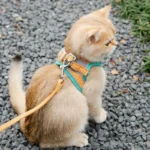 Cute Vest Cat Harness Leash Set Escape Proof Adjustable Reflective Buckle for Kitten