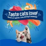 Purina Seafood Sensations Dry Cat Food Flavors of Salmon, Tuna, Shrimp and Seaweed, 22 lb Bag - Image 4