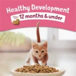 Purina Kitten Chow Healthy Development with Real Salmon Cat Food, 14 lb Bag - Image 2