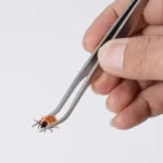 2 in 1 Tick Remover Tool Professional Removal Tweezers for Humans Pets Pets Flea and Tick Removal Remover Tools Pet Accessories - Image 4