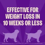 CORE Dry Dog Food, Grain Free, High Protein, Natural, Healthy Weight Turkey and Chicken Recipe, 4-Pound Bag - Image 3