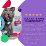 Feed Meow Shine Wet Cat Food - Salmon + Tuna - Coat and Skin Support, Grain Free, Shreeded, No Fillers, 3oz Pack of 12 - Image 5