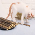 15pcs Natural Matatabi Cat Catnip Toy Kitten Molar Chew Stick Pet Cleaning Teeth Cat Treat Toy Actinidia Silvervine Pet Products - Image 3