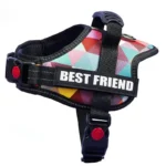 New Dog Harness High Quality Nylon Adjustable Custom ID Dog Name Small Large Dog Vest Harness Halloween Dog Supplies - Image 5