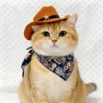Pet Cowboy Hat with Bandana Western Style Star Decor for Cats Dogs Small Large Sizes Party Cosplay Costume - Image 5