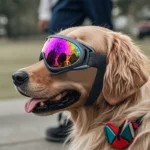Pet Adjustable Dog Goggles Sunglasses Anti-UV Sun Glasses Eye Wear Protection Black Widely Used Dog Sunglasses Pet Dog Supplies - Image 5