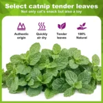Catnip Balls Kitten Cat Nip Ball Licker Toy Natural Catnip Ball for Cats of All Breeds,Cat Lick Ball Toys That Fascinate Cats - Image 4