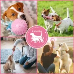 Soft Dog Chew Toys Pink Rubber Bone Toy Durable Molars Training Ball Toy Chihuahua Yorkie Interactive Treat Toys Pet Supplies - Image 5