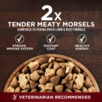 True Instinct Lean Muscle Support With Real Beef Natural With Added Vitamins, Minerals and Nutrients High Protein Dog Food, 15 l - Image 3