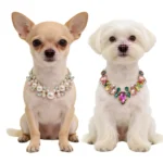 Pet Cat Accessories Luxury Cat Crystal Chain Necklace Adjustable Wedding Diamond Collar for Small Dogs Kitten Cat Puppy Necklace - Image 3