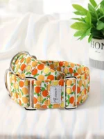 Martinagle Wide Adjustable Dog Collar, Soft Patterned Anti-Pull Collar for Medium-Sized Dogs, Suitable for Italian Greyhounds, Whippets, and Visual Hunting Dogs - Image 6