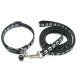 1pc Cute Dog Leash and Collar Set 1.2M for Puppy Cat Traction Rope Dog Collar Harness Durable Walking Pet Supplies Anti-lost - Image 6