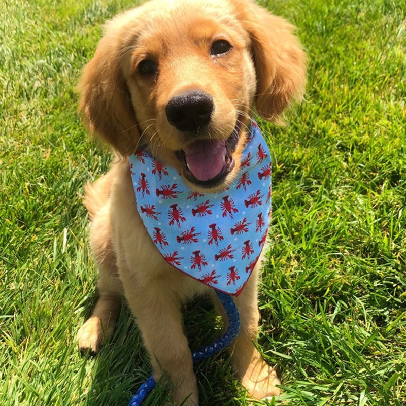 kf-S223bb9cc95594d739bb02c12a2875e817 Pet Dog Bandana Outdoor Beach Triangular Scarf Cute Puppy Kerchief Summer Holiday Pet Accessories For Small Medium Large Dogs - Image 1