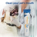 Edible Pet Toothpaste Enzymatic Dental Care Teeth Cleaning Gel Vanilla Beef Flavor Oral Hygiene Kit Puppy Kitten Care Supplies - Image 3