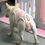 Adjustable French Bulldog Pet Shoulder Strap Physiological Pants Washable Female Dog Underwear Safety Trousers mascotas Shorts - Image 4