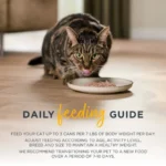 Entrees Natural Wet Cat Food Chicken Selection in Broth 12 Pack, 2.47 oz Cans - Image 4