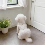 Summer Floral Print Pet Dog Dress with D-Ring Lace Ruffle Princess Skirt for Small Dogs And Cats - Image 4