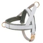 Personalized Dog Harness No Pull Dog Harnesses Adjustable Pet Walking Training Vest For Medium Large Dogs Bulldog Free Engraving - Image 2