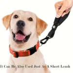 Automatic Retractable Leash for Dogs Pet Anti-Fall Wristband Non-Slip Adjustable Dog Walking Strap Dog Accessories - Image 4