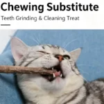10/15/20 pcs/lot Cat Stick Pet Cat Molar Toys Natural Wood Polygonum Sticks Cleaning Teeth Relieve Boredom Snacks Chews Toys - Image 6